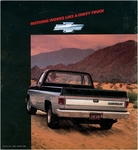 1985 Chevrolet Full-Size Pickups-11